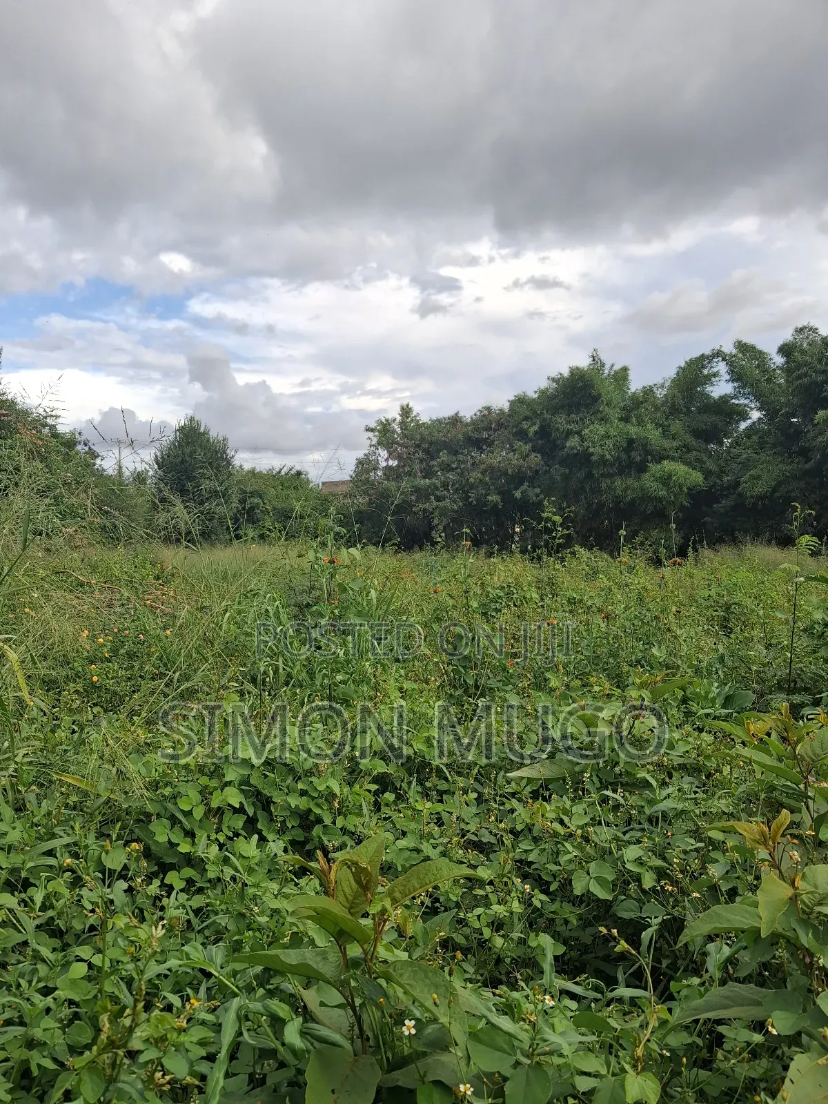 Kamiti Corner Opposite Woodcreek School Prime 1/2 Ac 1.25 Ac
