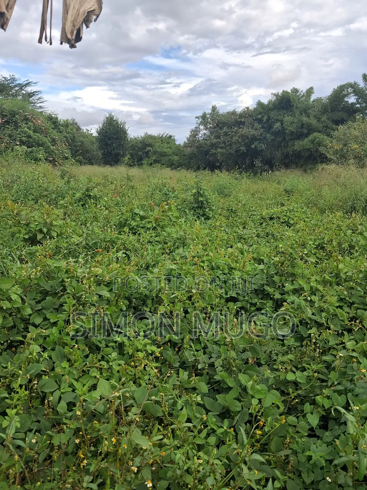 Kamiti Corner Opposite Woodcreek School Prime 1/2 Ac 1.25 Ac