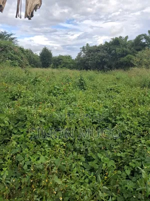 Kamiti Corner Opposite Woodcreek School Prime 1/2 Ac 1.25 Ac