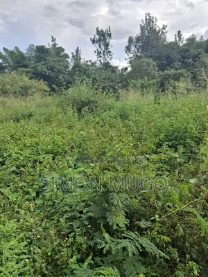 Kamiti Corner Opposite Woodcreek School Prime 1/2 Ac 1.25 Ac