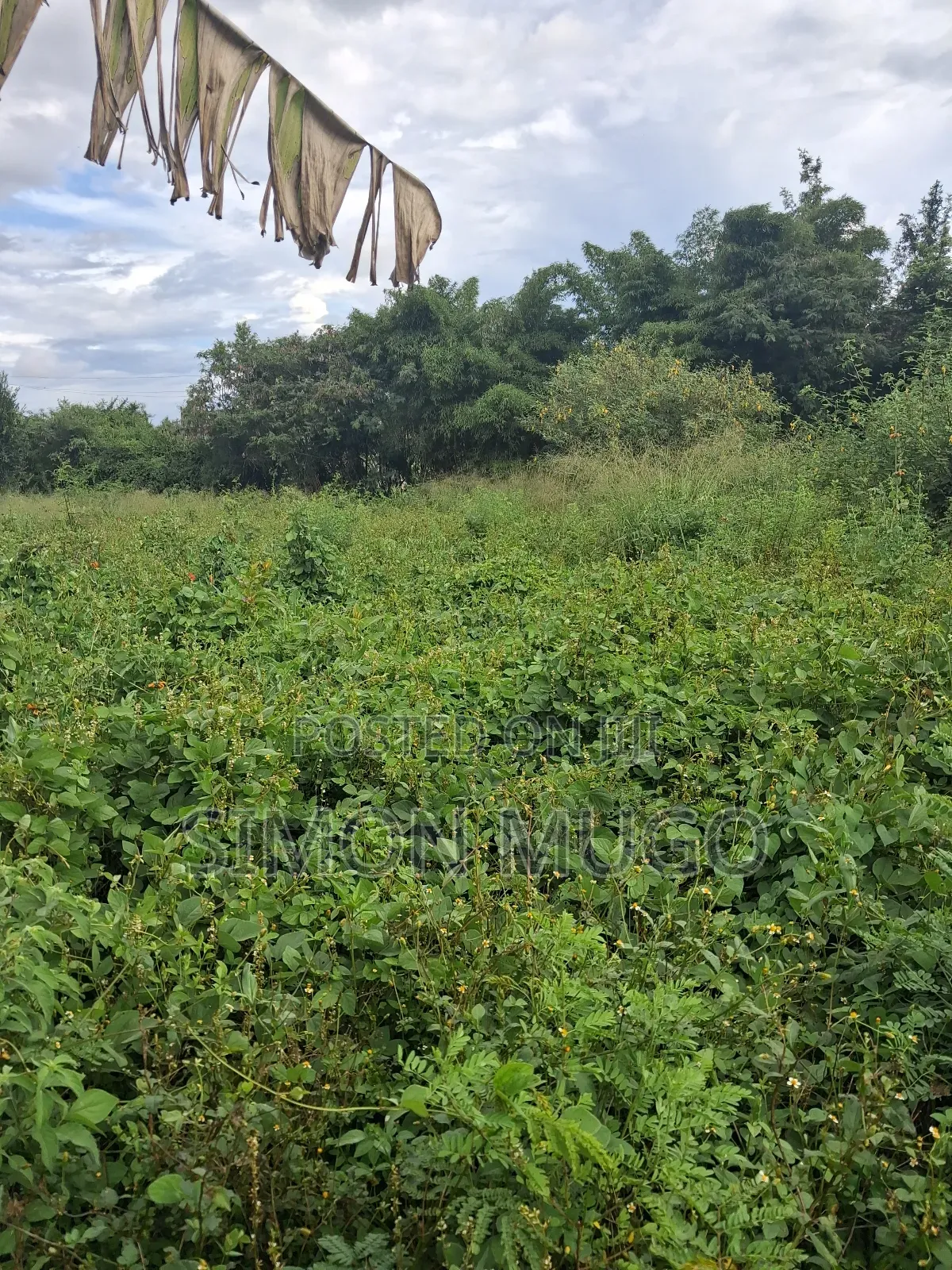 Kamiti Corner Opposite Woodcreek School Prime 1/2 Ac 1.25 Ac