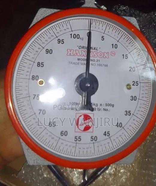 Professional 100kg Hannson Scale