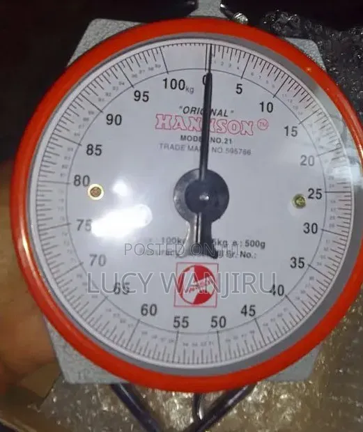 Professional 100kg Hannson Scale