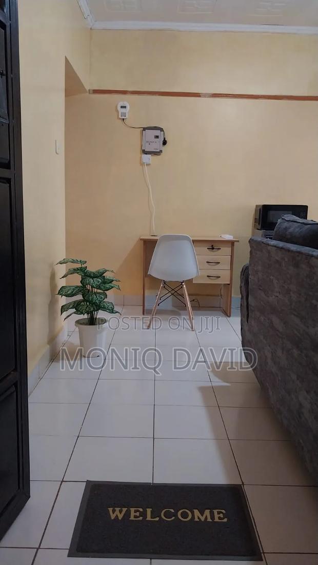 BNB Unique Place Thika - thumbnail 11