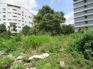 1.1-Acre Plot for Sale in Westlands