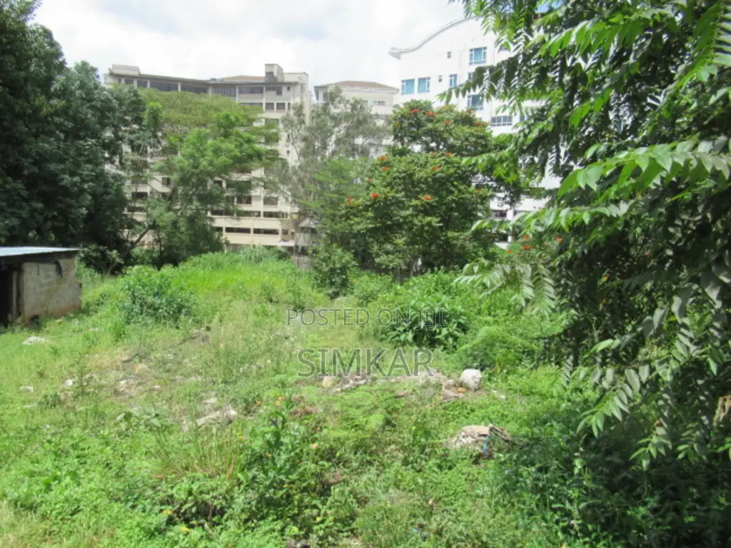1.1-Acre Plot for Sale in Westlands