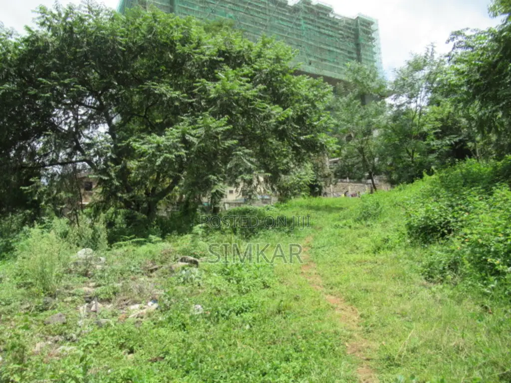 1.1-Acre Plot for Sale in Westlands