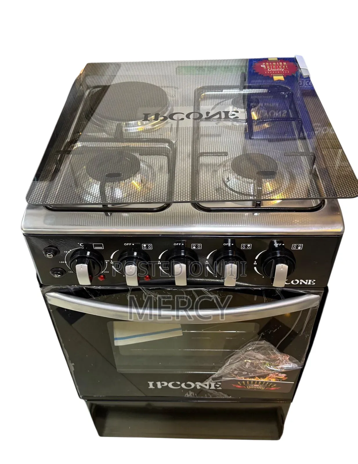 Ipcon Standing Cooker