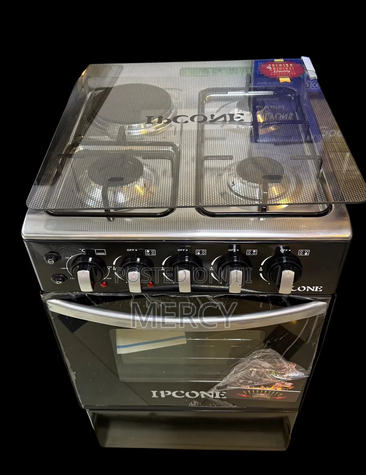 Ipcon Standing Cooker