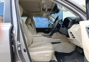 Toyota Land Cruiser LC300 2024 Brown