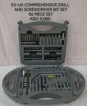 Comprehensive Drill and Screwdriver Bit Set