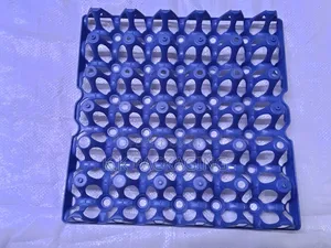 This Plastic Trays