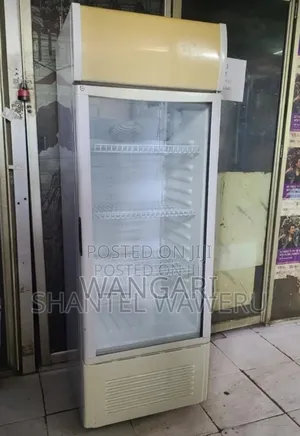 Colour White New Roch 379l Display Fridge
