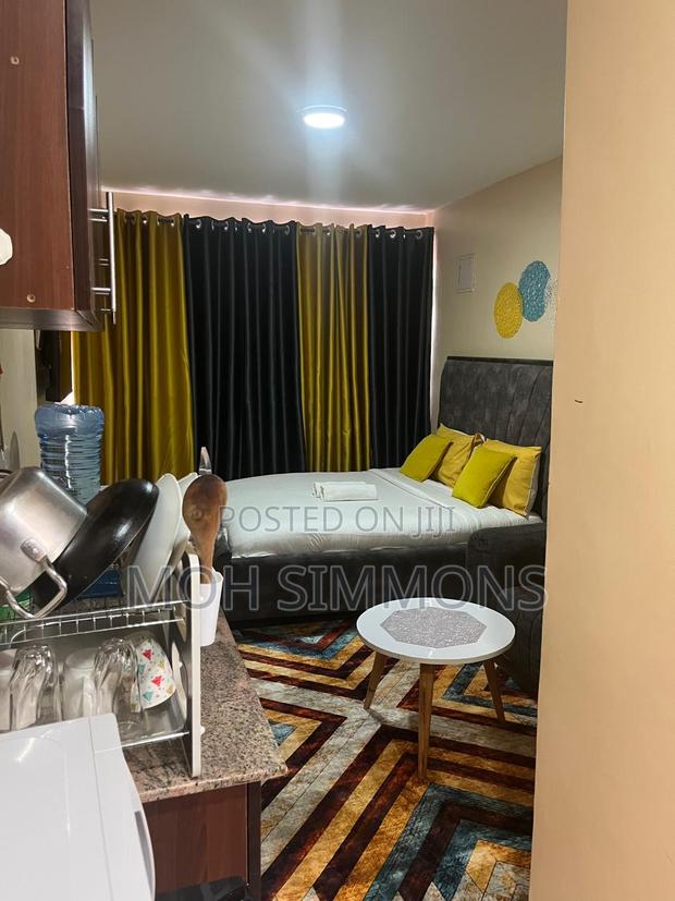Private Furnished Airbnb Studio Ruaka - thumbnail 8