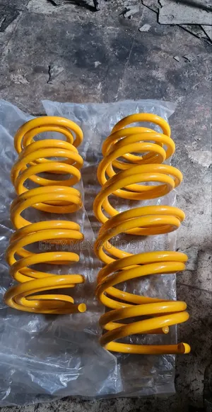 Fielder 2018 Monroe Heavy Duty Springs