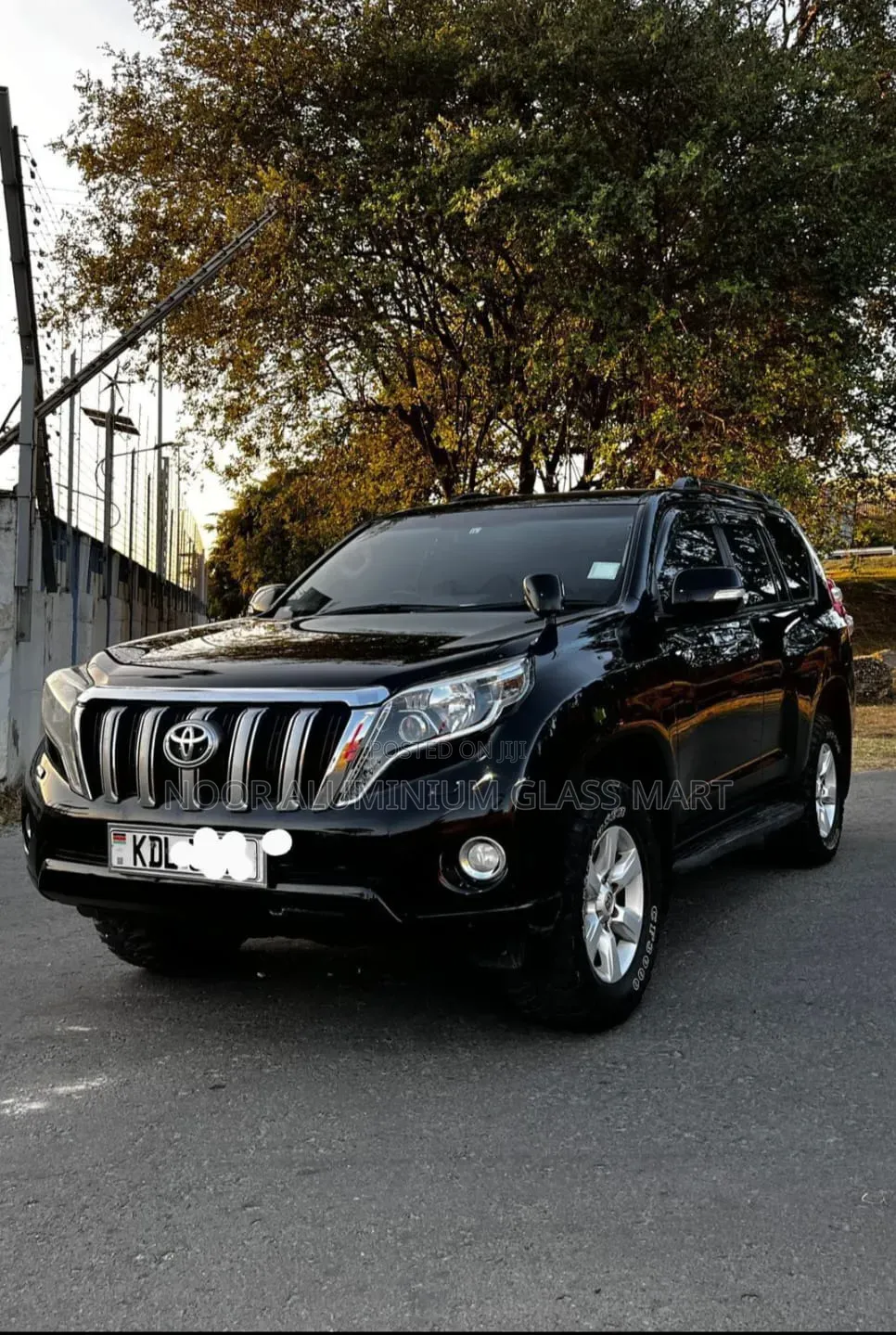 Car Hire Services