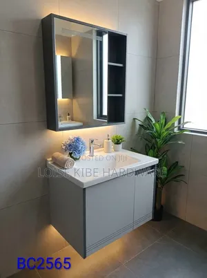 Bc2565 Vanity Cabinet Available