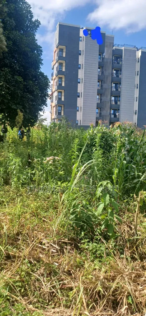 Land in Ruaka for Sale