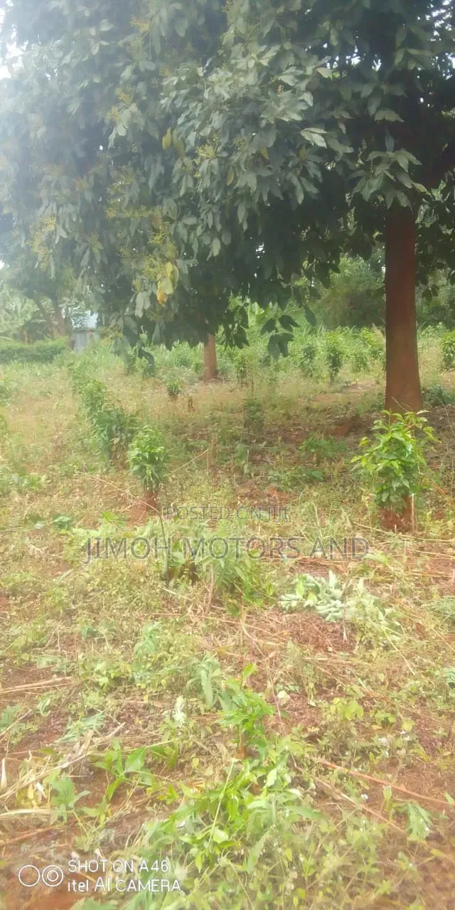 Land in Ruaka for Sale