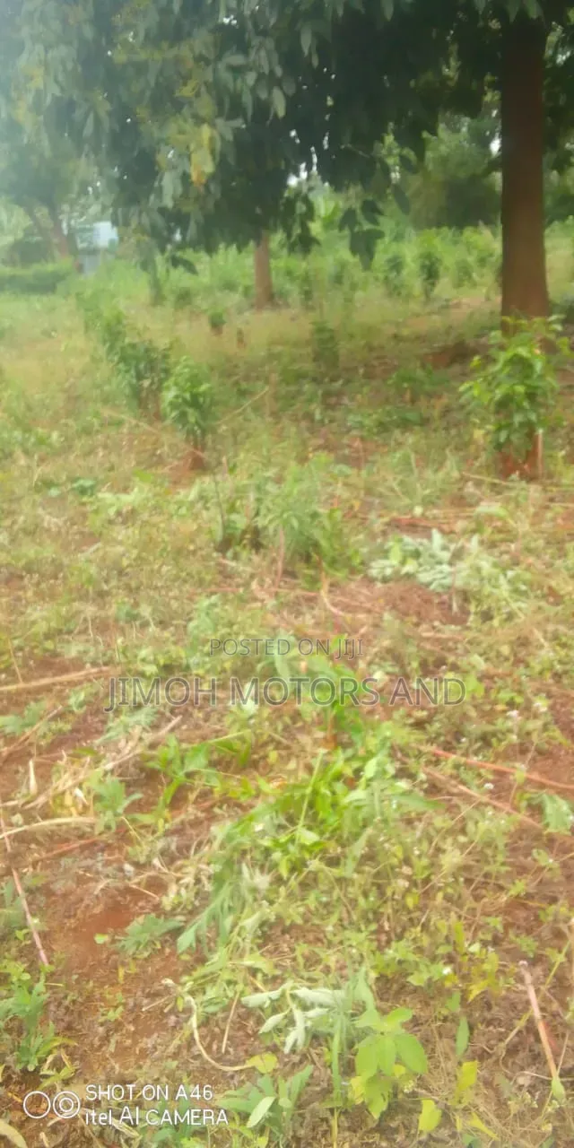 Land in Ruaka for Sale