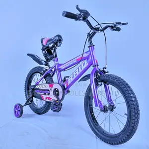 Raid Bicycle for Age 4 to 7 With Training Wheels Premium Bike