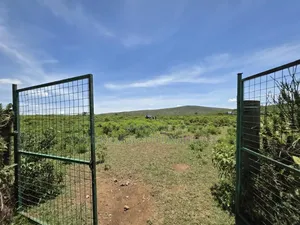 Gilgil Kikopey Project