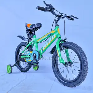 Raid Size 16 With Bell, Bottle and Training Wheels