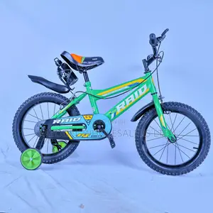 Raid Size 16 With Training Wheels