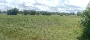 Sagana Project