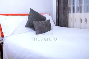 Spacious 1 Bedroom Meru | Security | Balcony Parking | Near Town |