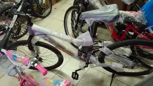Size 26 Adult Mountain Bicycle