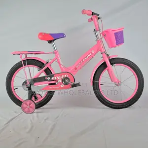 Girls Pink Purple Kids Bike Size 16