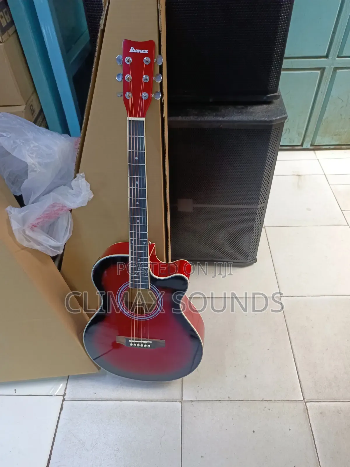 Semi Acoustic Guitar