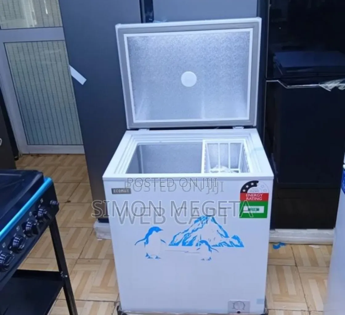 Whitish Verified Ecomax 169l Freezer