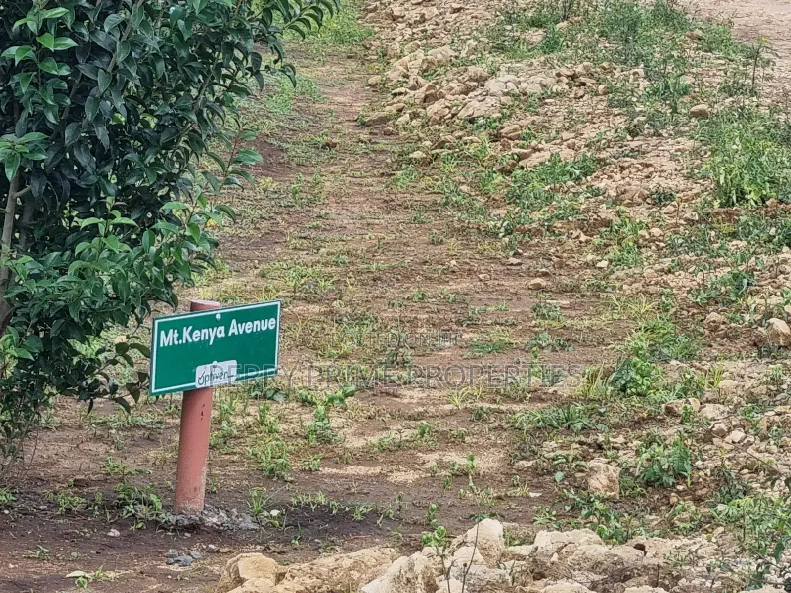 Perry Prime Properties by Optiven