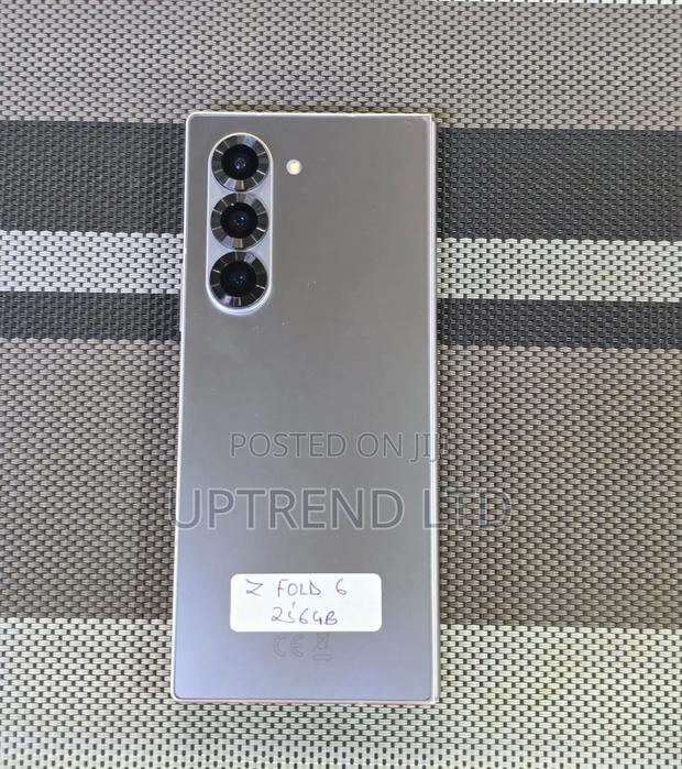 Samsung Galaxy Z Fold6 256 GB Silver