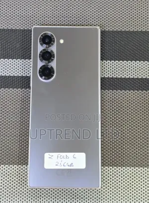 Samsung Galaxy Z Fold6 256 GB Silver
