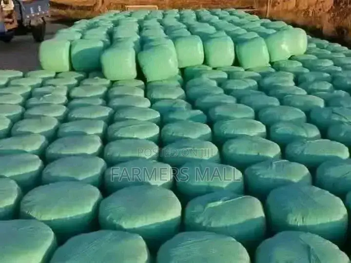 Full Corn Baled Silage