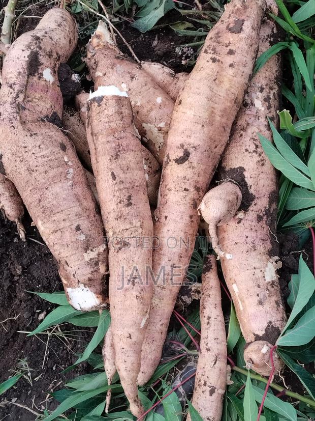 Raw Cassava - thumbnail 6