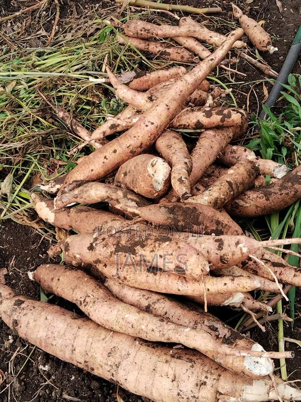 Raw Cassava - thumbnail 7