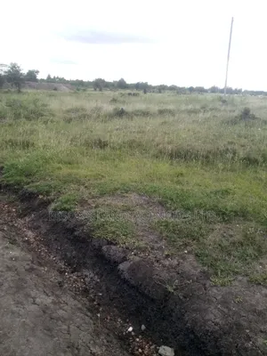Available 50 Acres Land for Sale