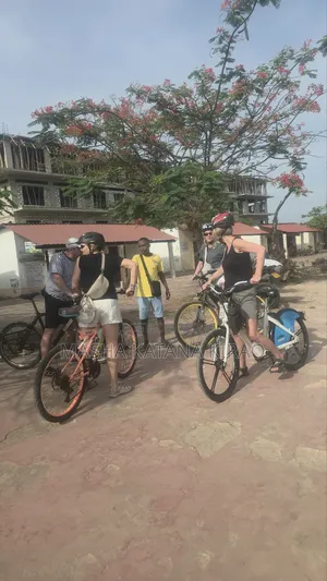 Guided Tours and Excursions