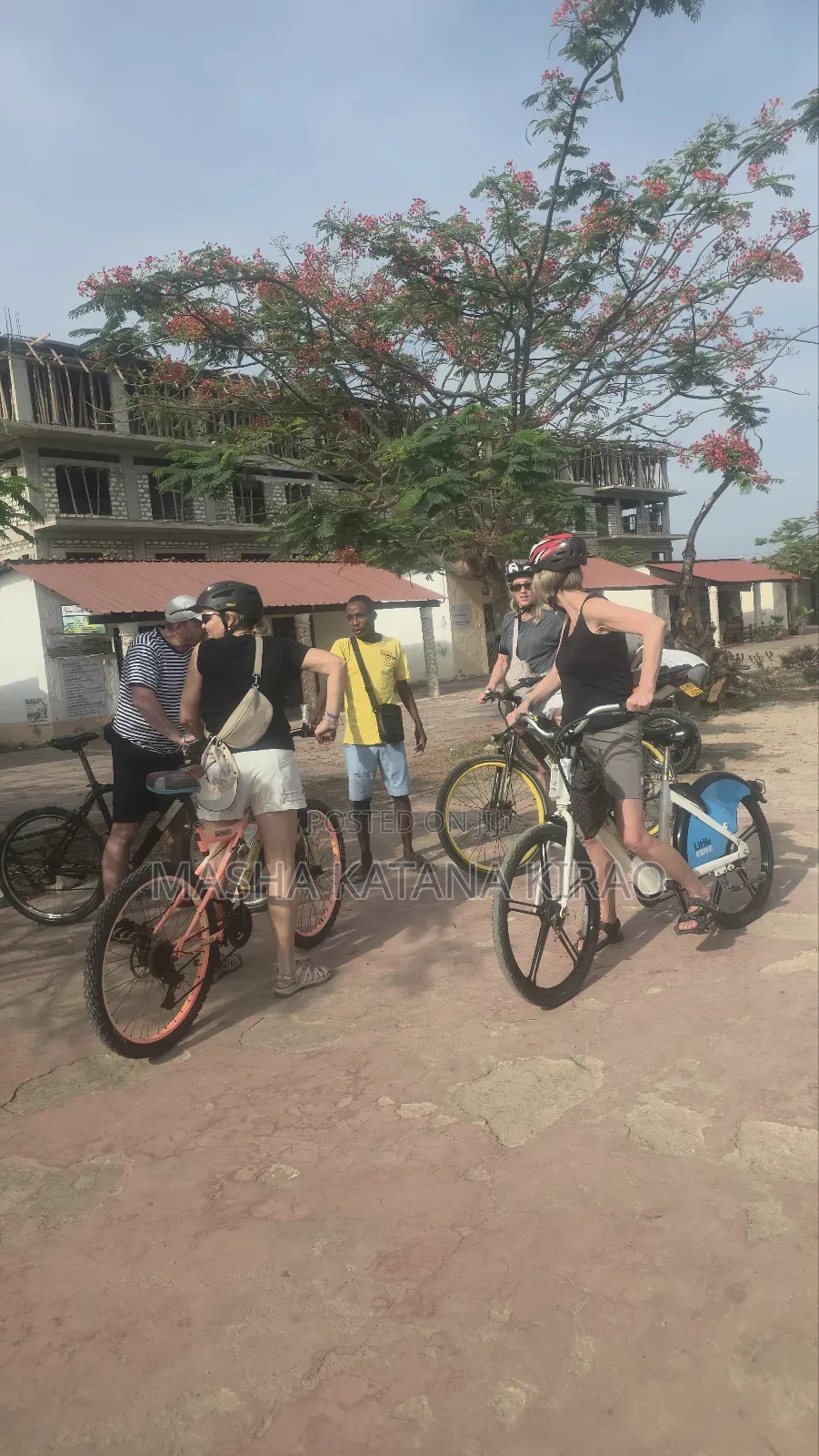 Guided Tours and Excursions