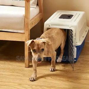 Small Portable Pet Travel Airplane Cages Plastic Carriers