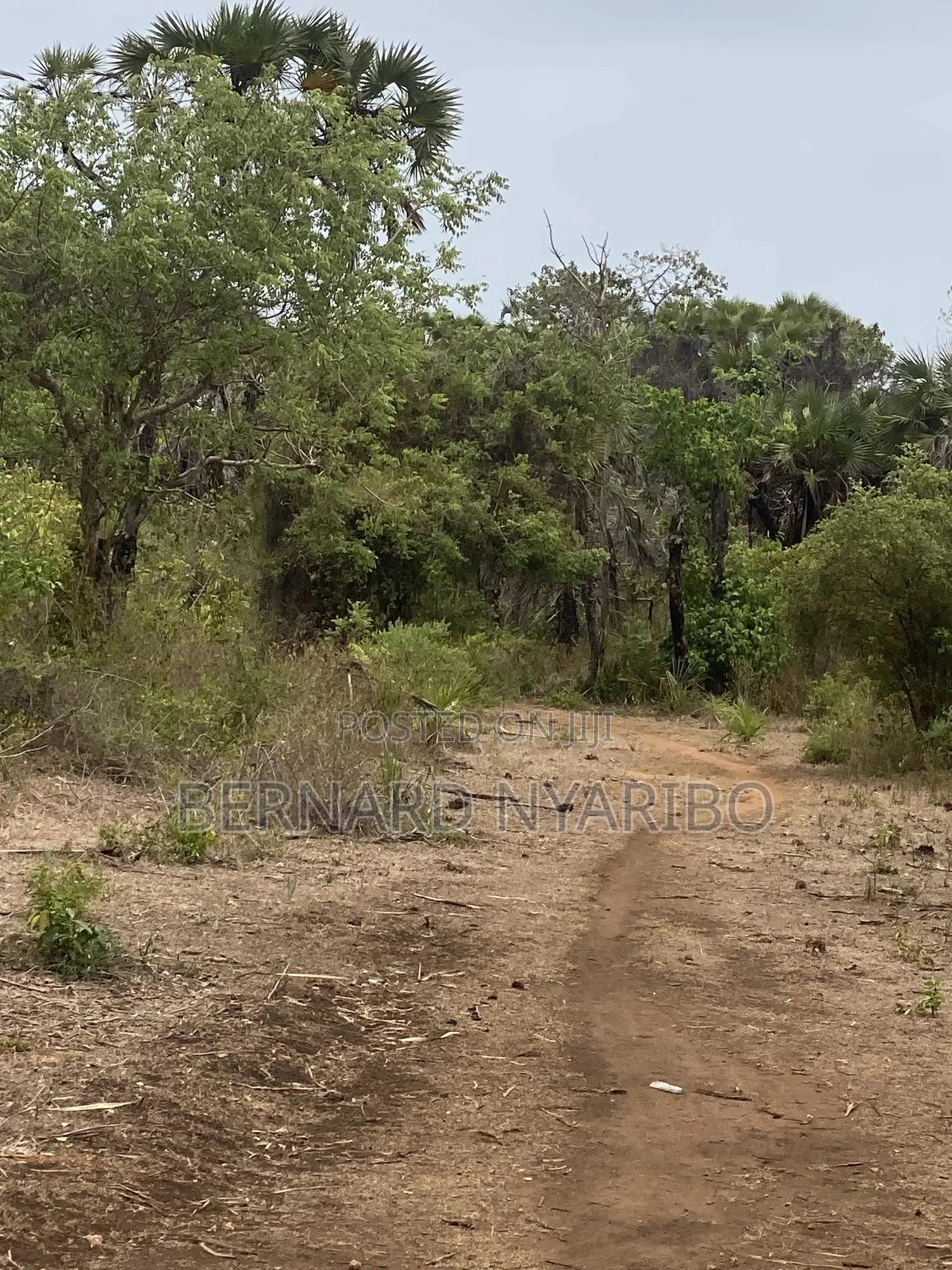 6 a Half Acre Plots Funzi Island