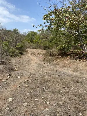 6 a Half Acre Plots Funzi Island