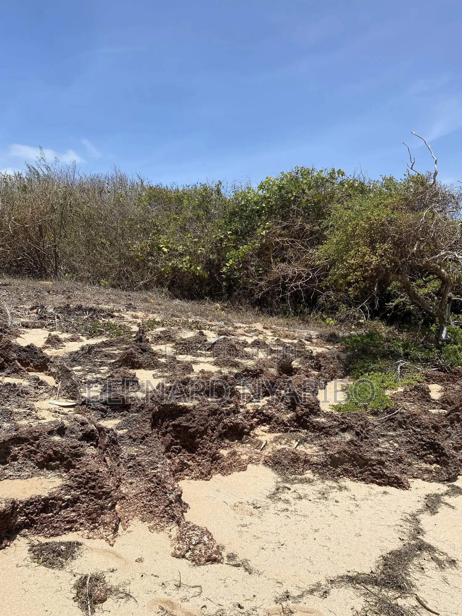 6 a Half Acre Plots Funzi Island