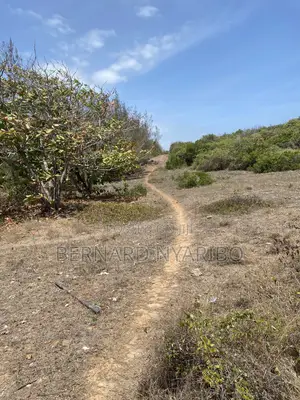 6 a Half Acre Plots Funzi Island