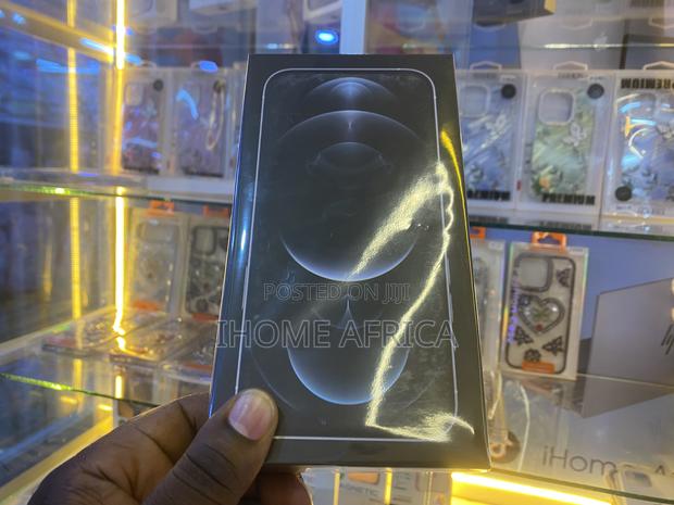 Apple iPhone 12 Pro Max 256 GB Silver