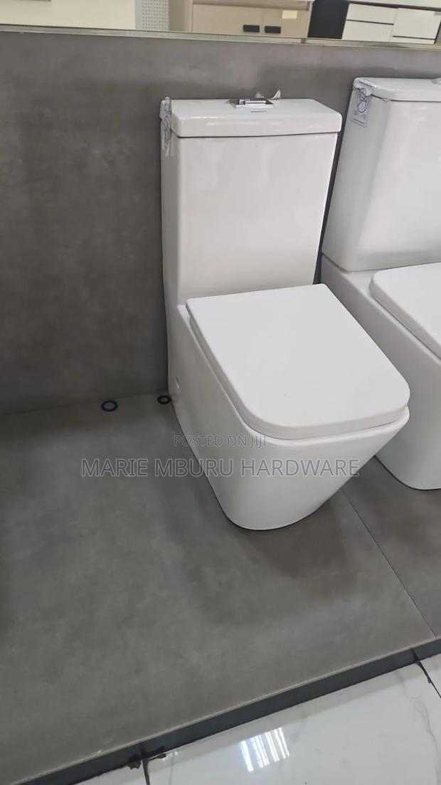 Toilet, Toilet, Wc